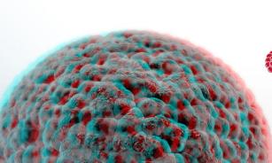SARSTEDT BIOFLOAT™ til 3D-celledyrkning