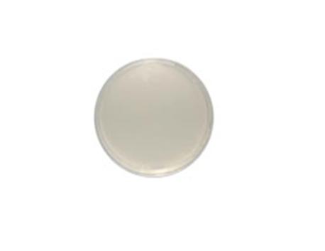 Müller-Hinton Agar, WiduMed