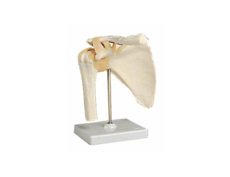 Skulderled af slagfast plast