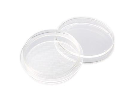 Petriskåle (kontakt) 6 x 1  cm sterile