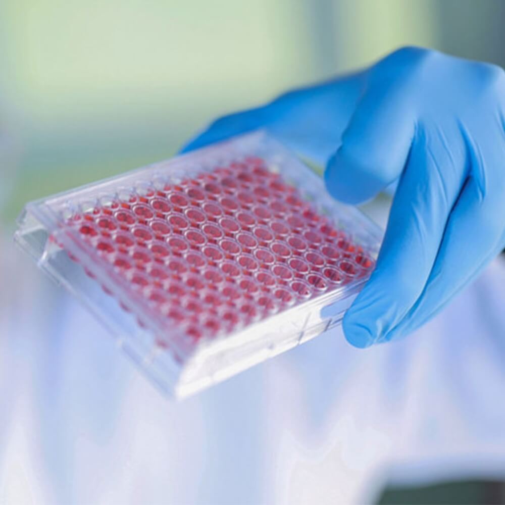 SARSTEDT BIOFLOAT™ | Innovativ 3D Celledyrkning Med Hounisen